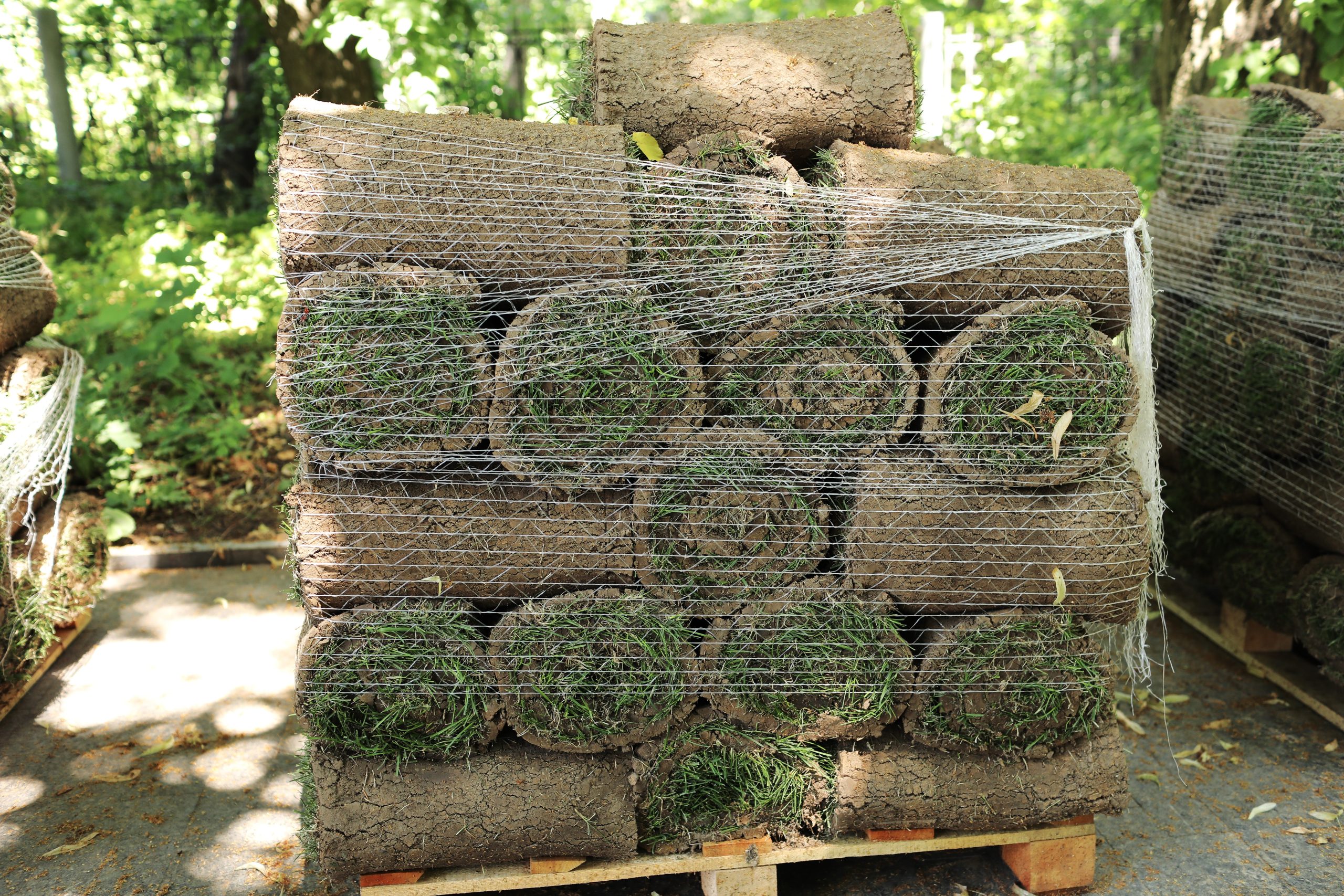 Sod Installations