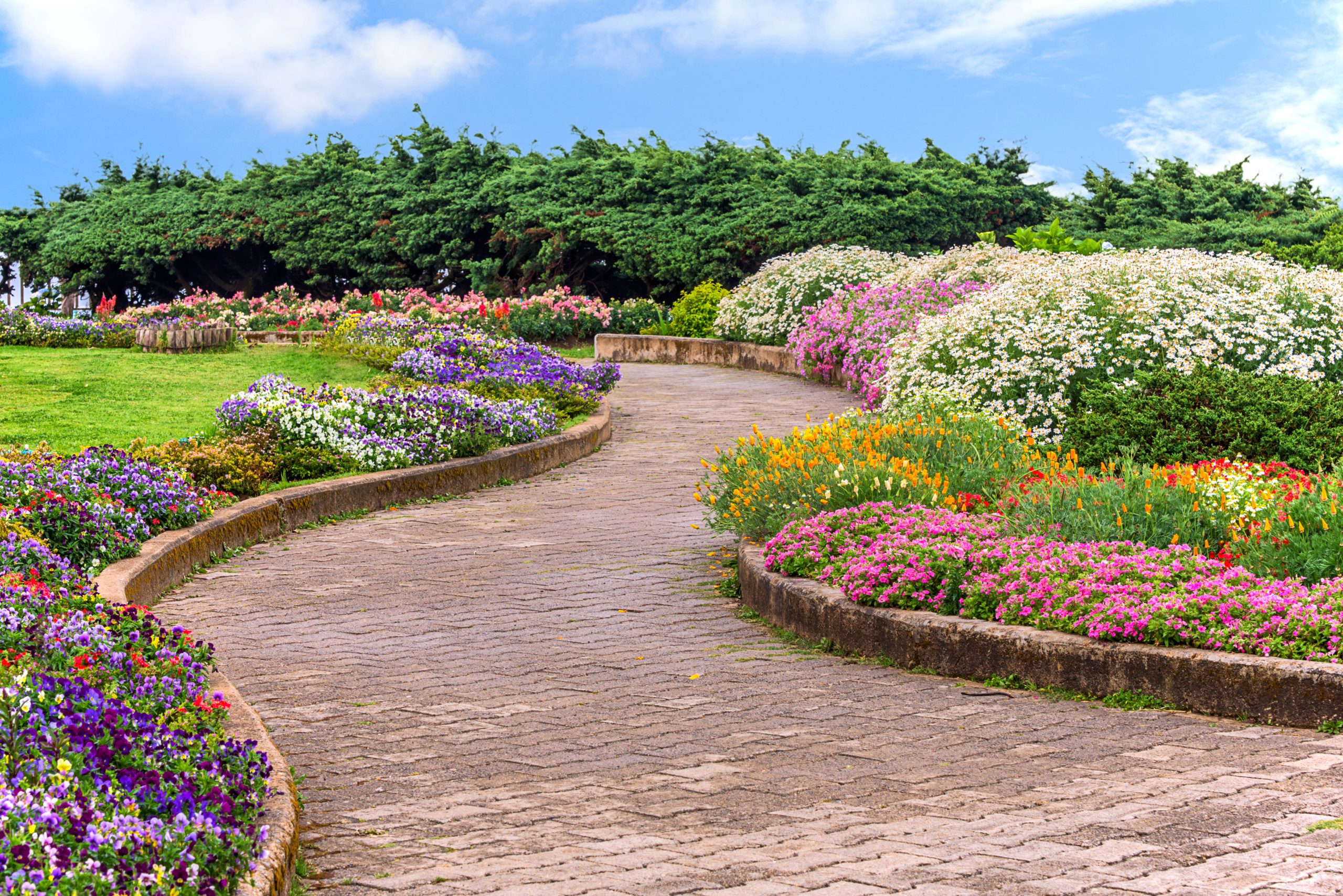 Best Curb Appeal for HOA, Commercial, and Residential Properties. Best Curb Appeal for HOA, Commercial, and Residential Properties.