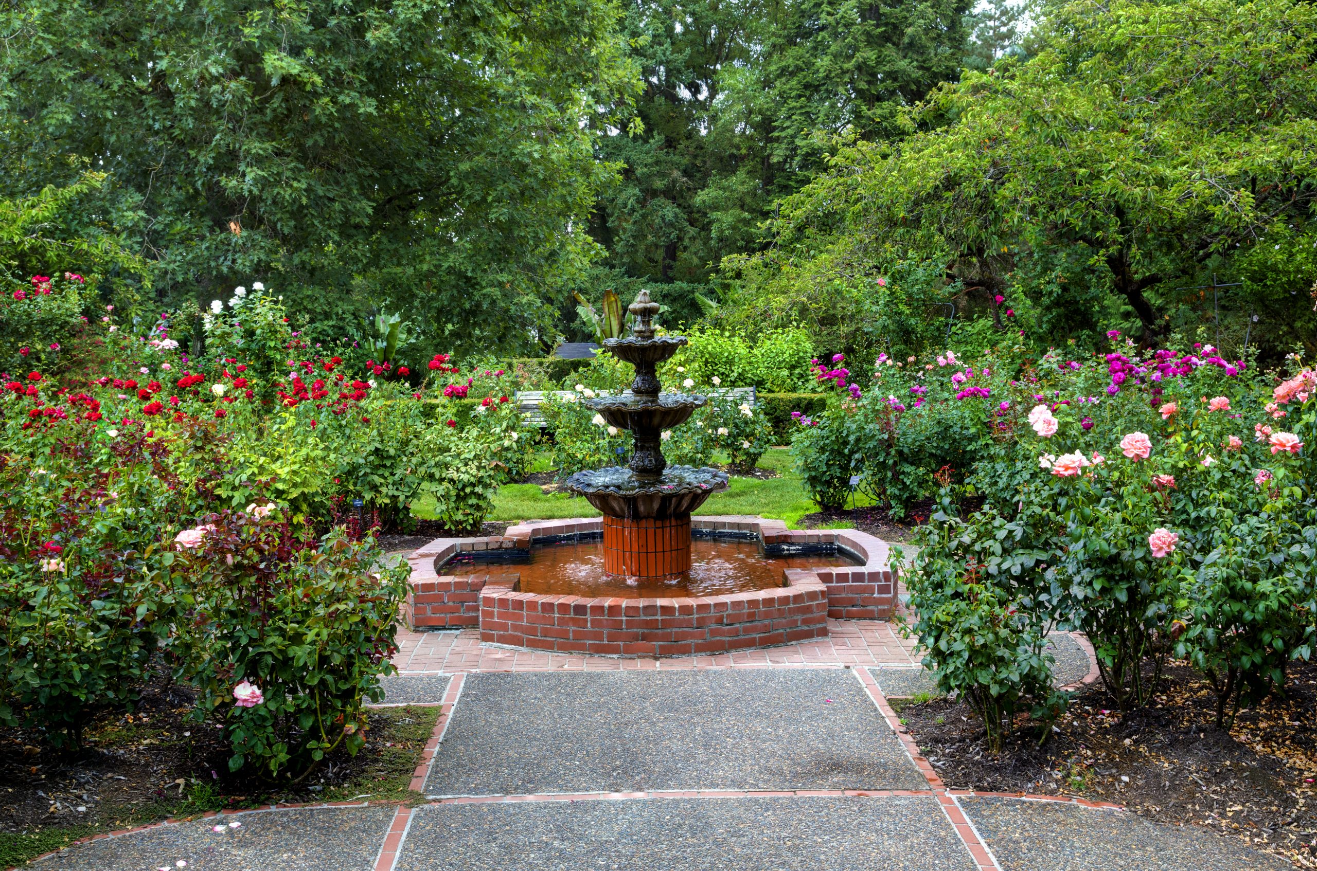 Best Curb Appeal for HOA, Commercial, and Residential Properties.