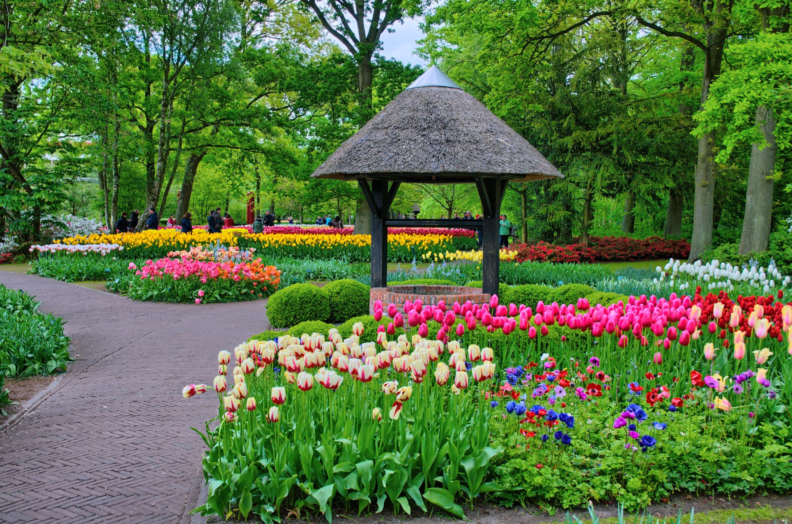 Inquiry | Monthly Landscaping Services Inquiry | Monthly Landscaping Services