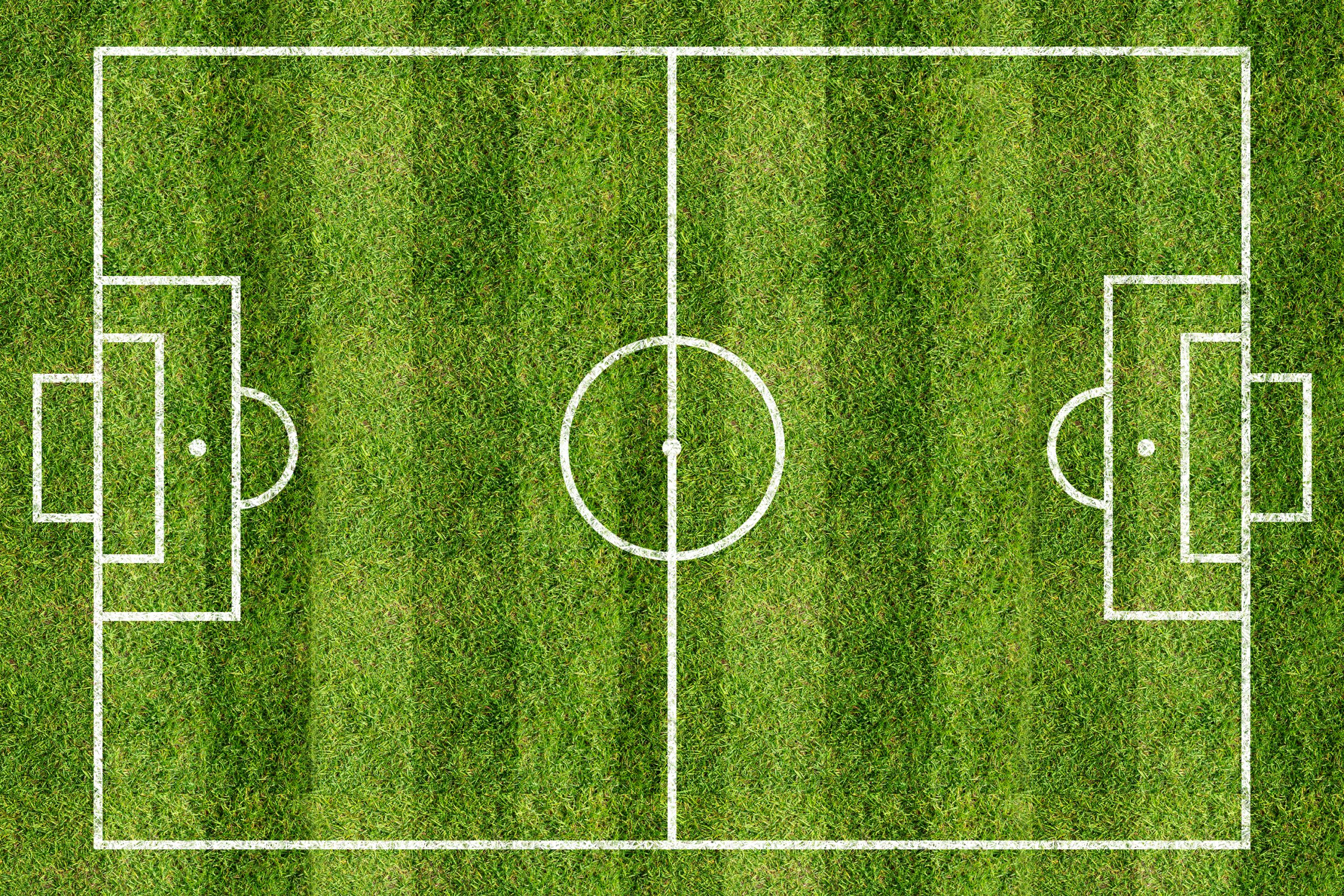 Artificial Turf<br />
