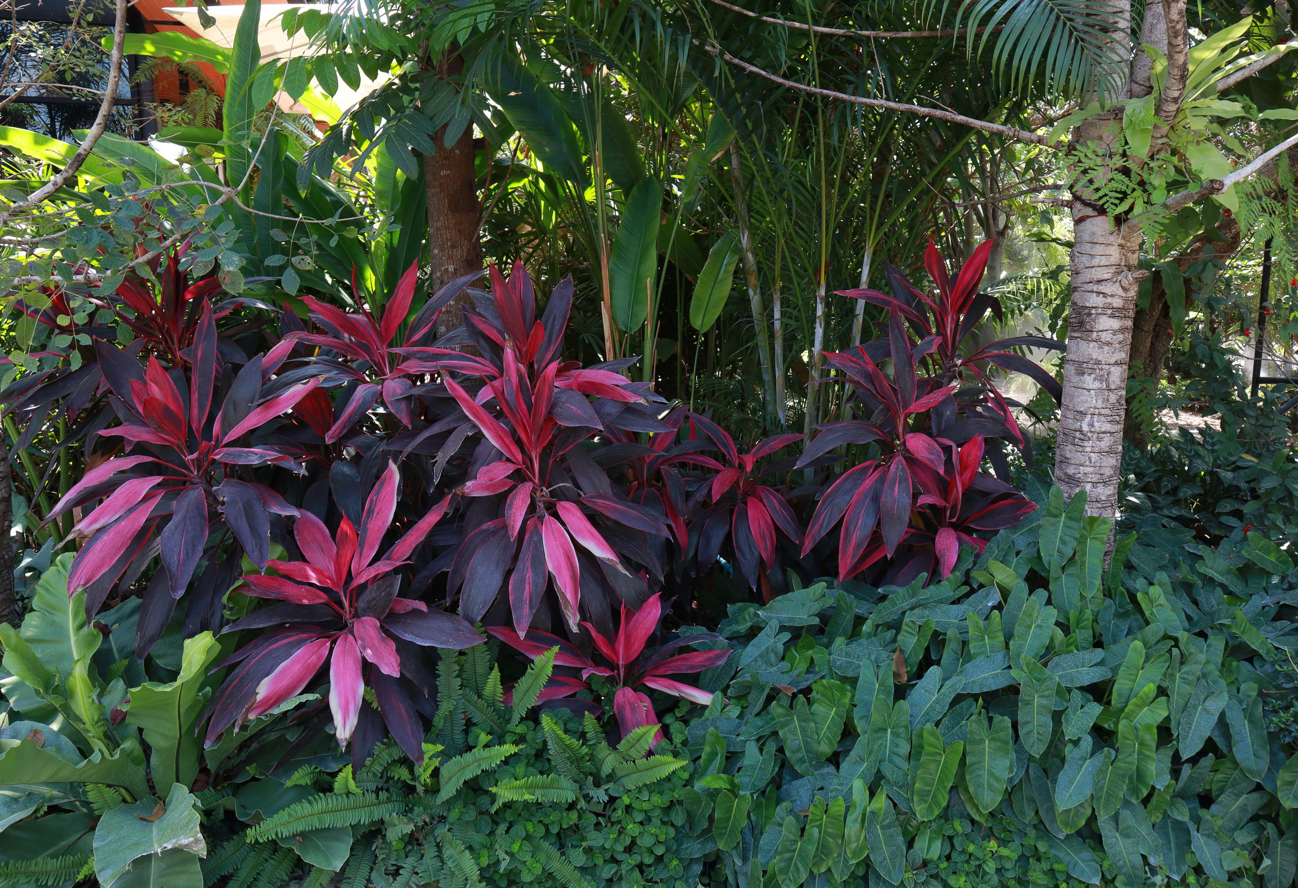 Lake Park Landscaping Lake Park Landscaping