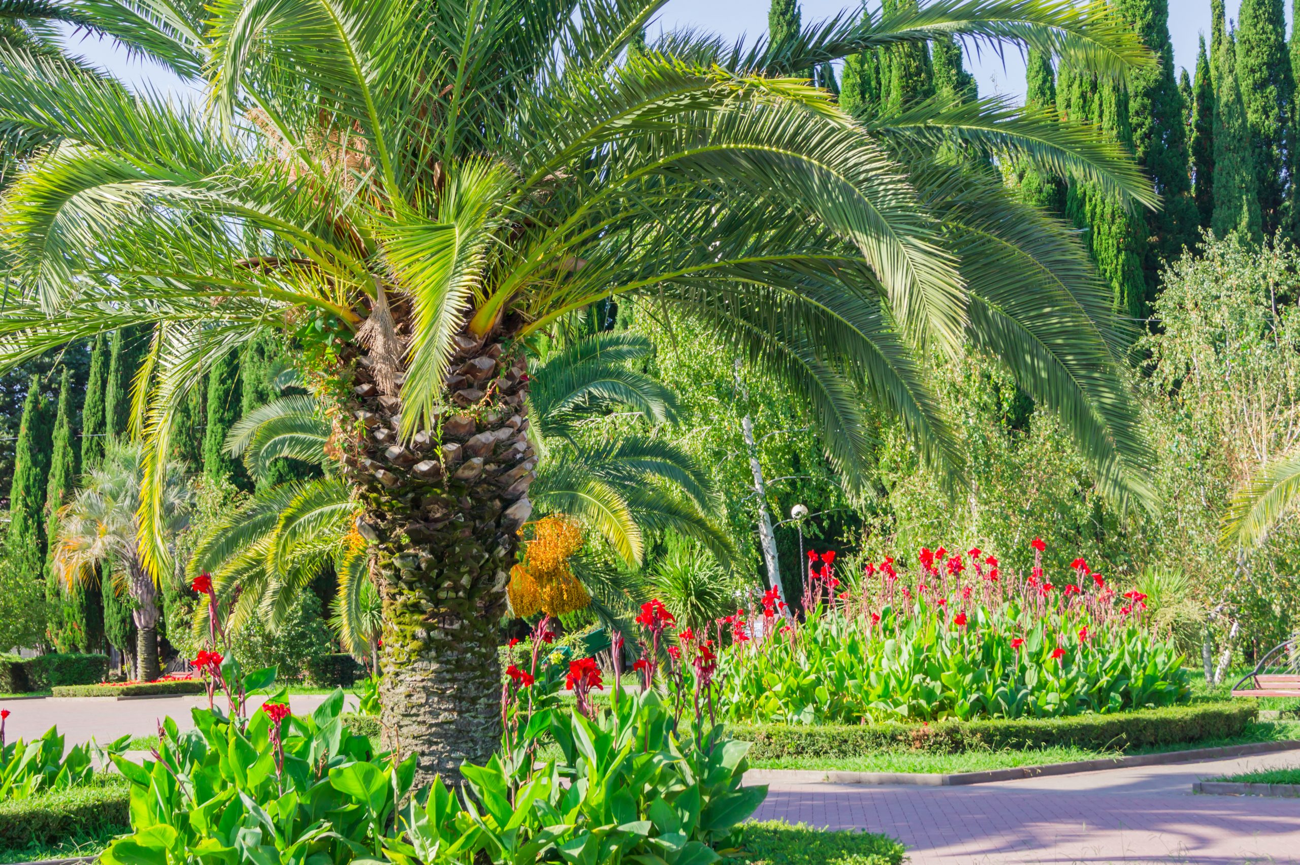 Tree Trimming Service<br />
At Services By Mark, we understand that every property is unique. That's why we work closely with our clients to develop customized lawn care solutions that meet their specific needs and budget. We work with HOA, commercial and residential properties and also work with property managers.