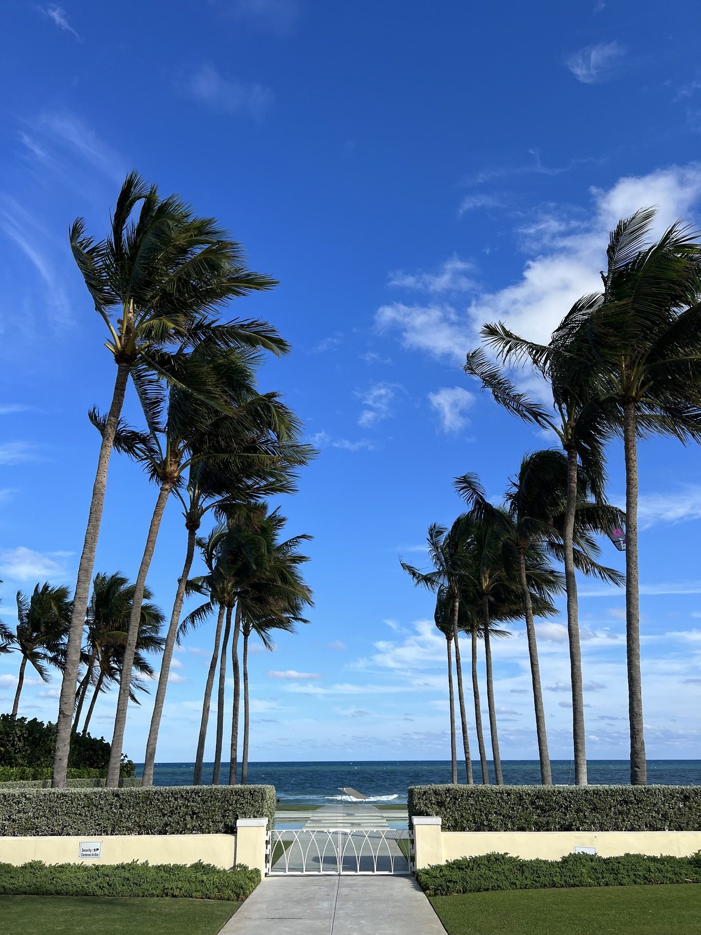 Tree Trimming Service Professional tree trimming services offer a wide range of tree care services, including pruning, trimming, shaping, and removal. 