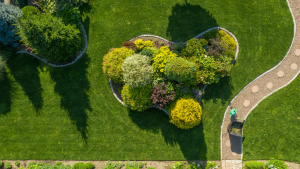 Different Types of Grass In South Florida? Best to consider factors -shade tolerance, maintenance requirements, foot traffic, and irrigation needs.