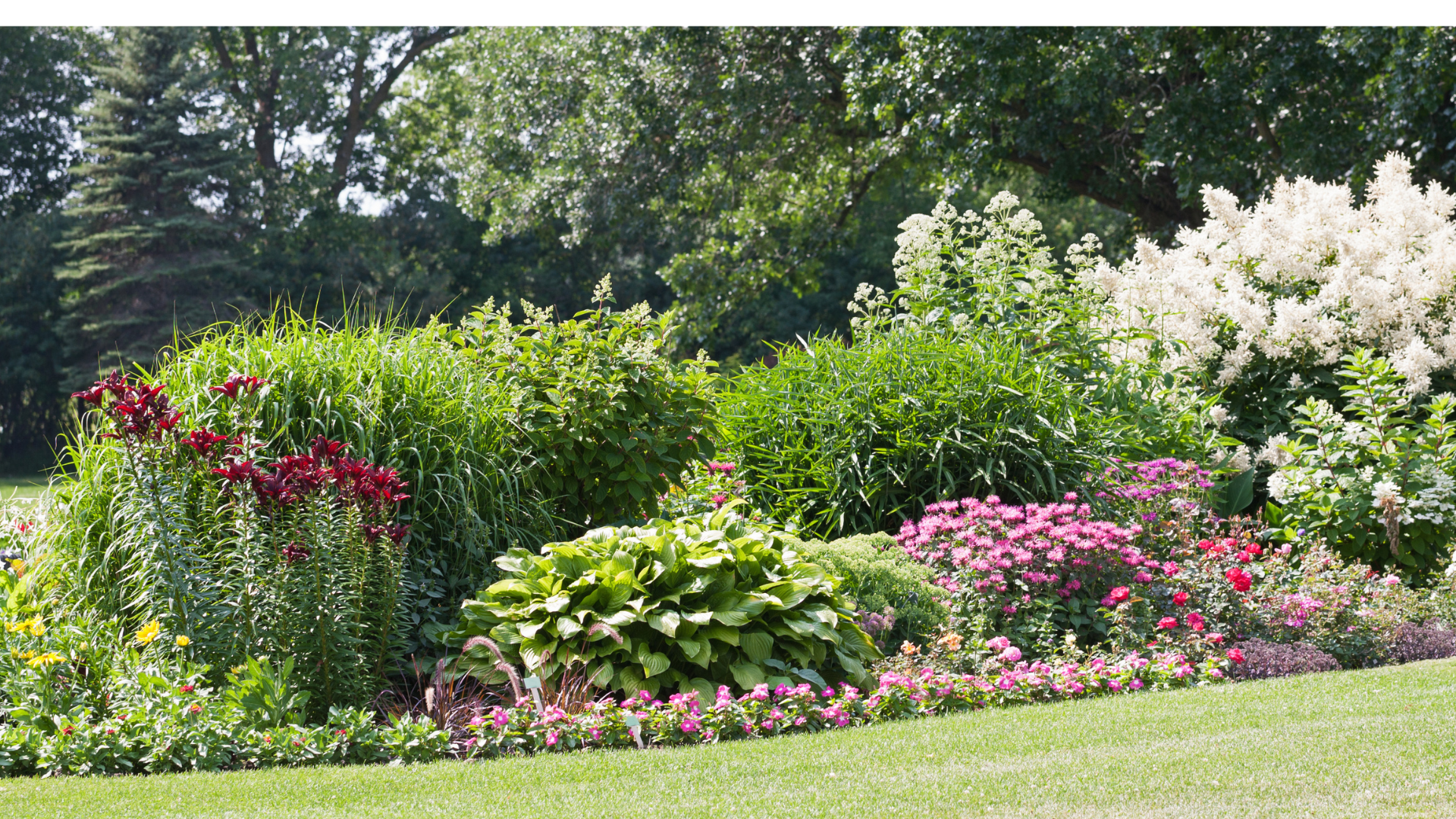 Singer Island Landscaper Singer Island Landscaper