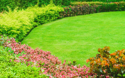 Transform Your Landscape with Stunning Sod Installations