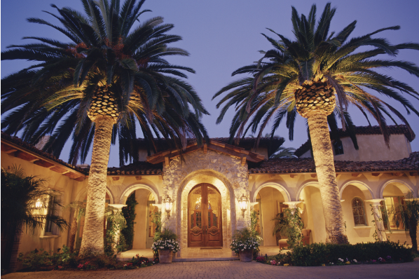 luxury home with palm trees2